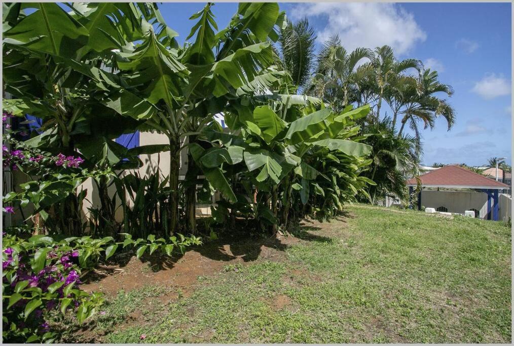 Villa Mango 150 Metres Plage A Pied Sainte-Luce Eksteriør bilde