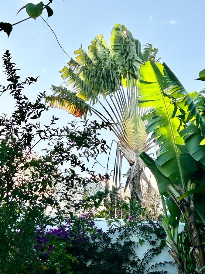 Villa Mango 150 Metres Plage A Pied Sainte-Luce Eksteriør bilde